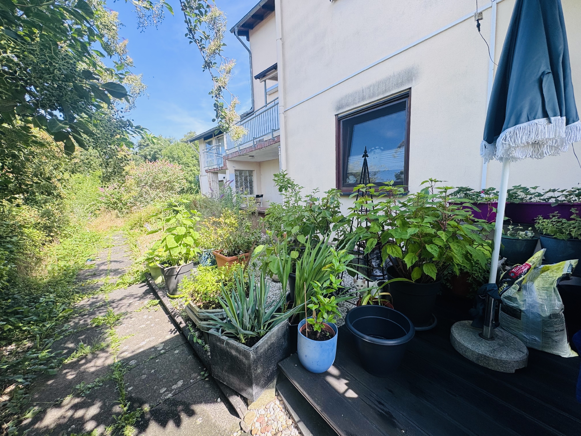 Wohnidylle in Hennef: Helle 2-Zimmer-Wohnung mit schöner Terrasse in grüner Wohnlage!
